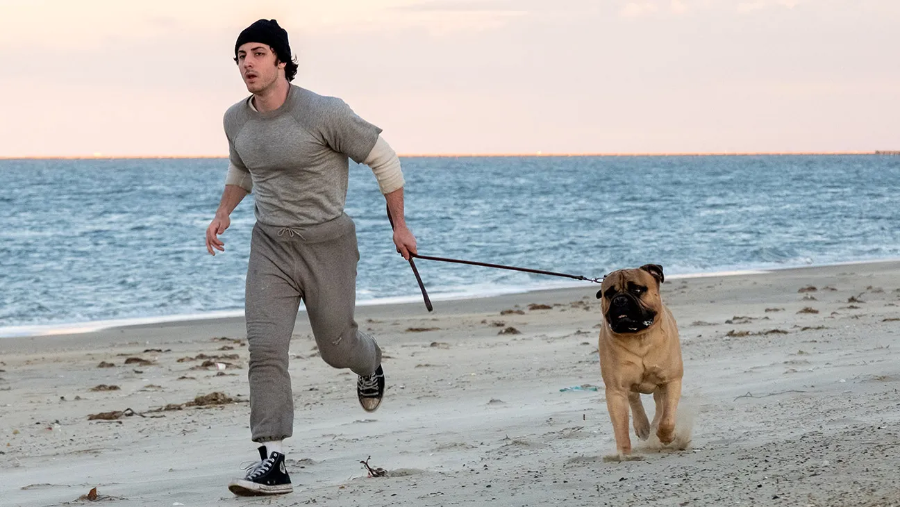 ¿Quién es rocky?